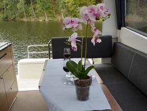 Plarium 989 Flybridge